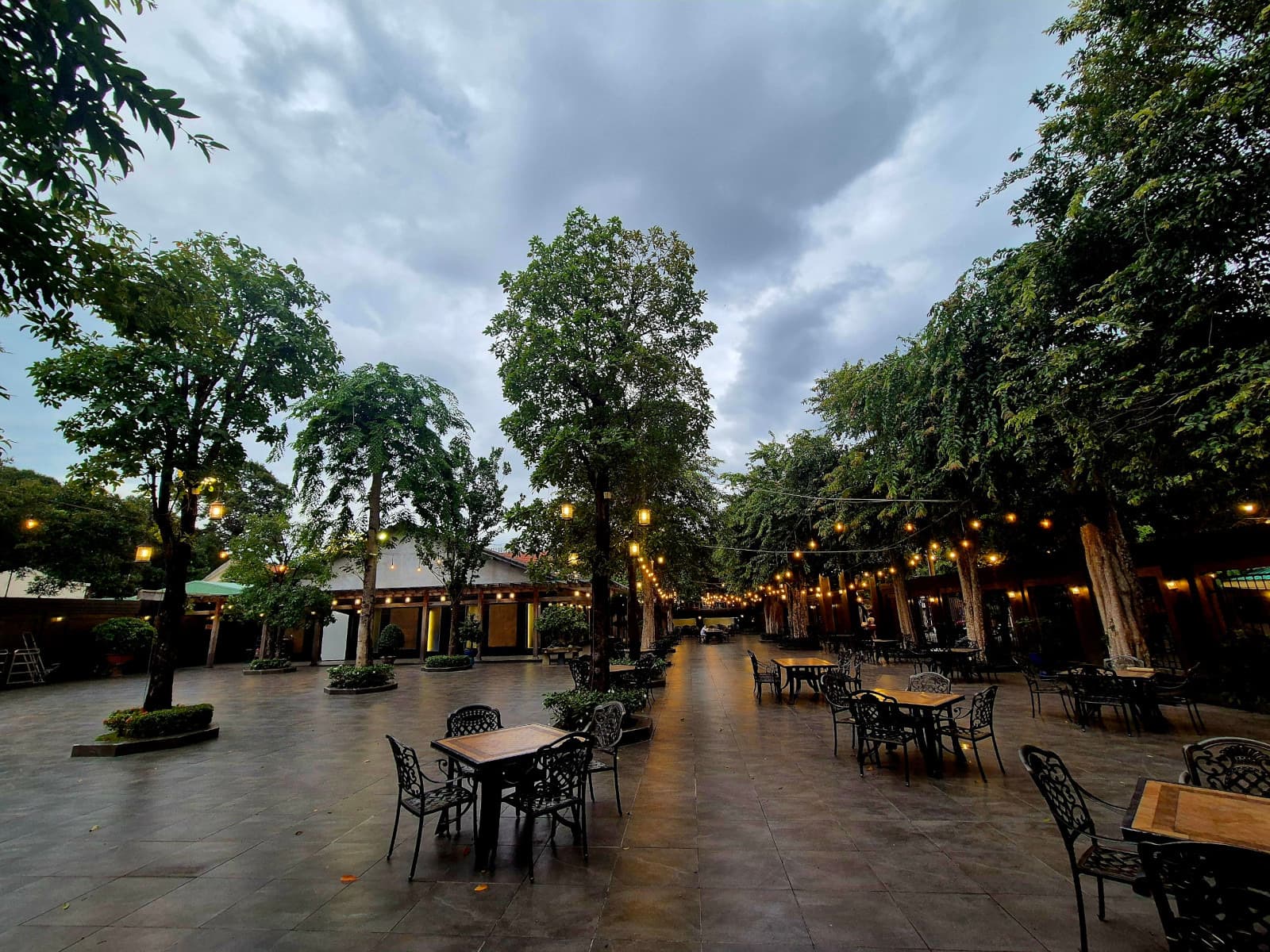 Tree-lined garden walkway with dining tables, unoccupied