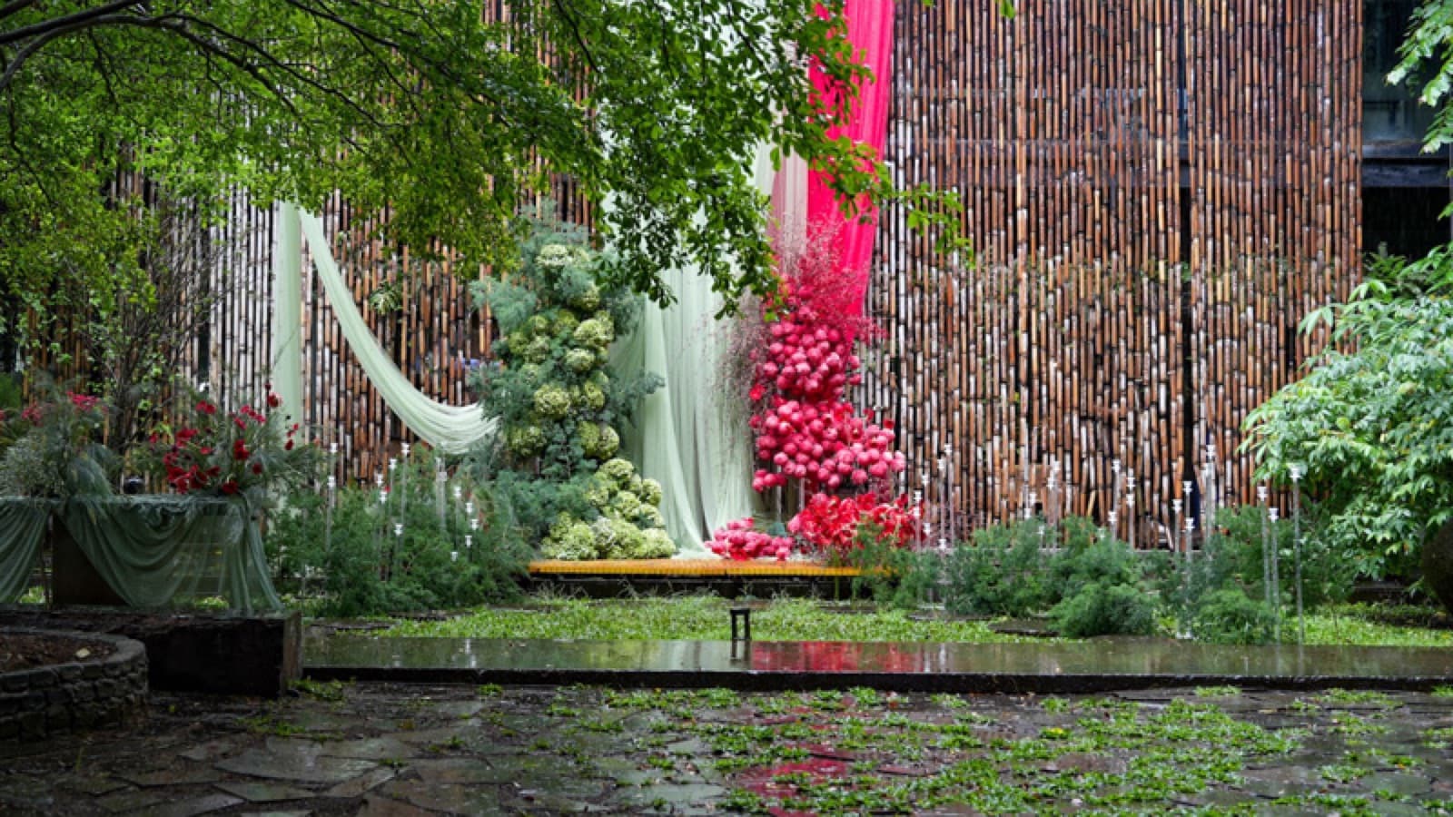 The Vibing Courtyard at The Vibes